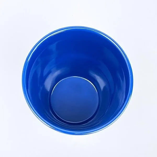 上から見た様子