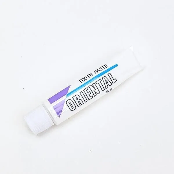 付属のミニ歯磨き粉