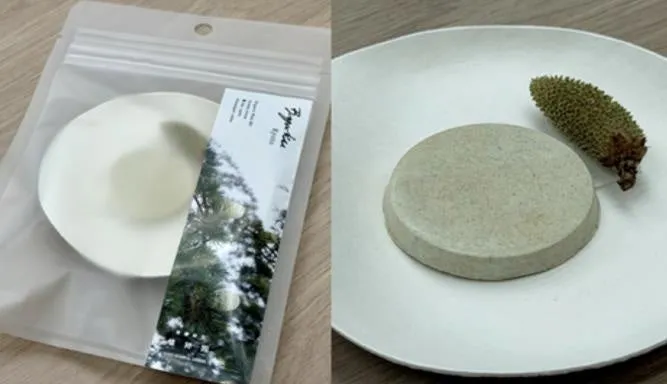 白い皿の上に、円形の灰色の物体と松ぼっくり