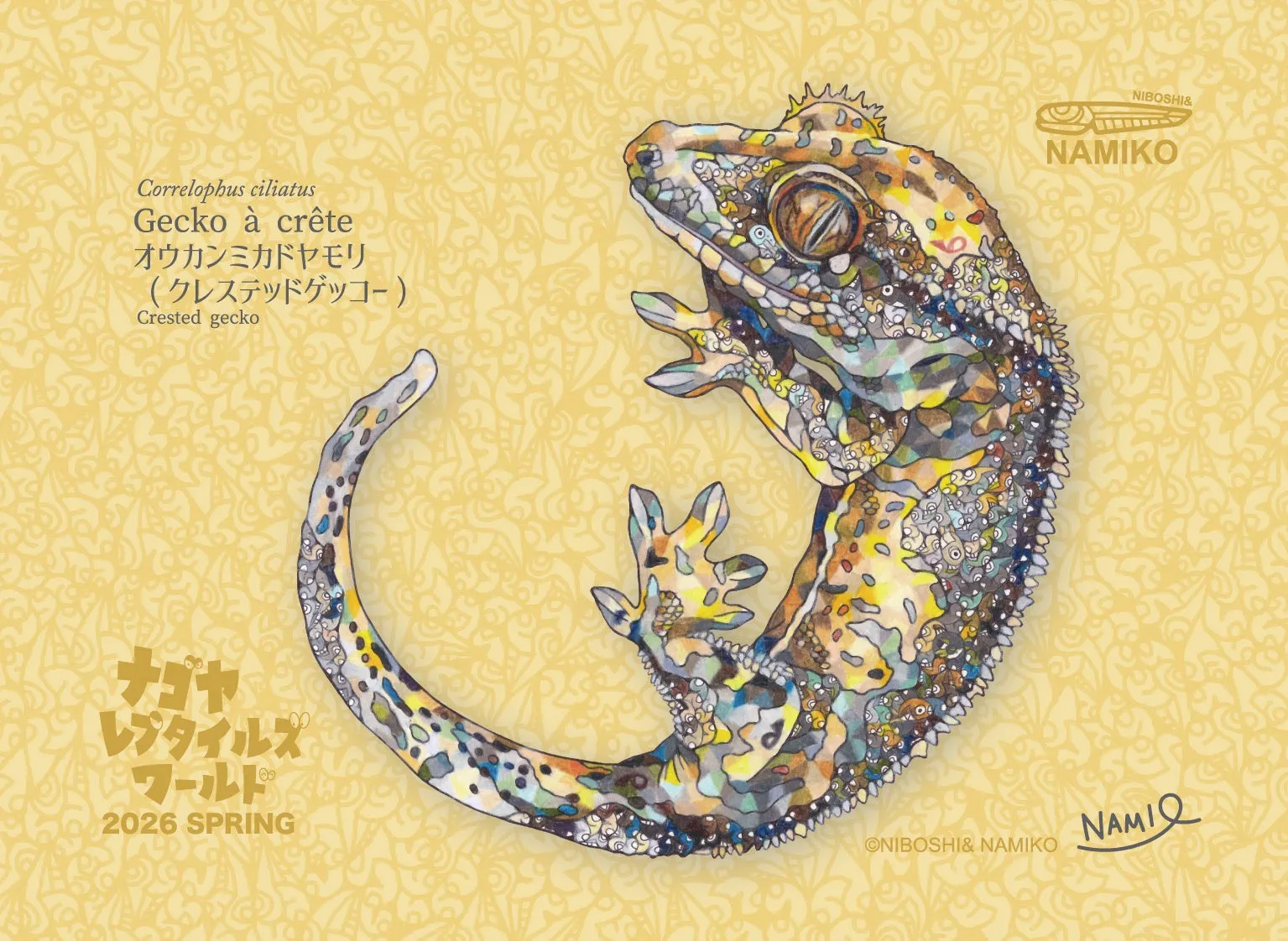 Correlophus ciliatus Gecko à crête オウカンミカドヤモリ（クレステッドゲッコー） Crested gecko ナゴヤ レプタイルズ ワールド 2026 SPRING NIBOSHI&NAMIKO NAMIQ