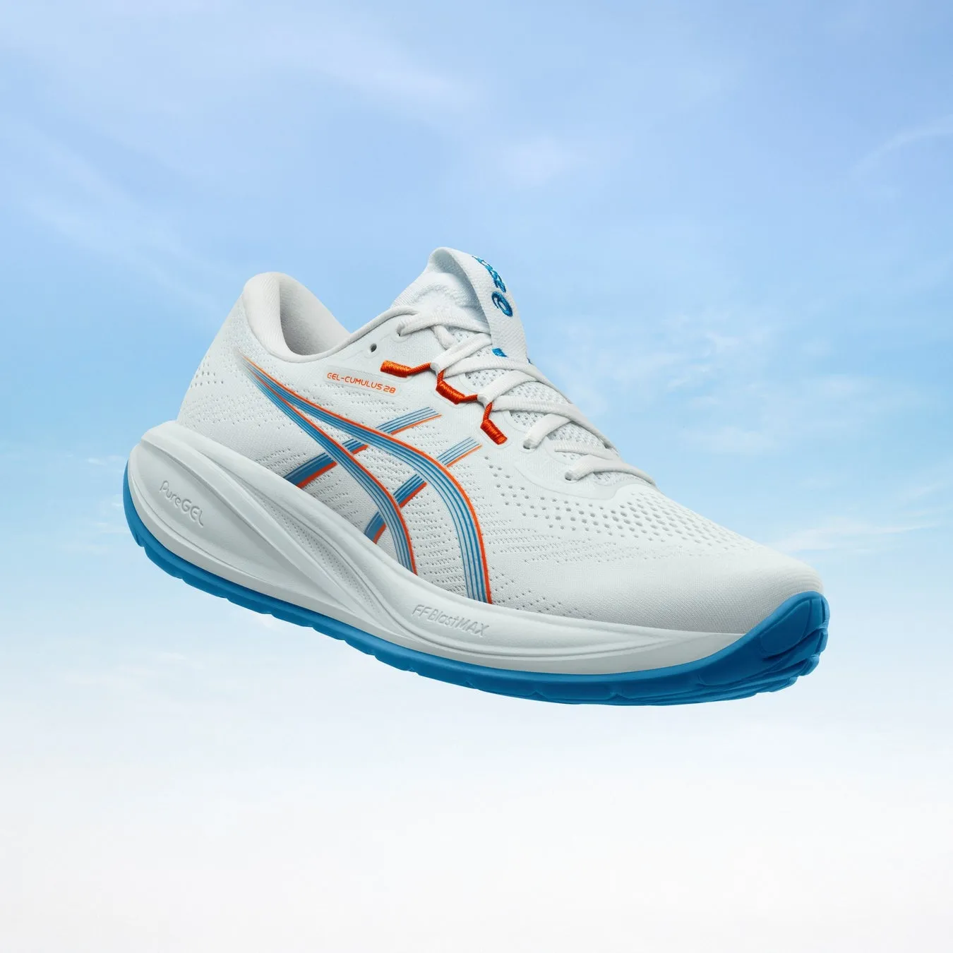 GEL-CUMULUS 25 PureGEL FFBLASTMAX