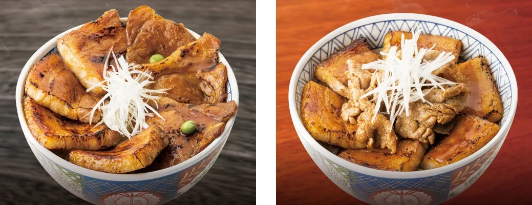 豚肉がたっぷり乗った丼の画像です。ネギが添えられています。