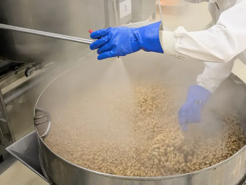 大きな鍋の中で何かが調理されている様子。作業員は青い手袋を着用し、蒸気の中に手を差し伸べている。