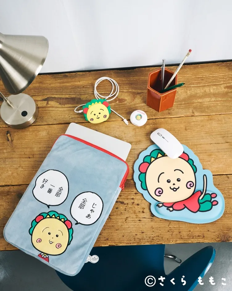 ノートパソコンケース、マウスパッド、充電器