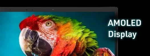 オウムの画像が映し出されたAMOLEDディスプレイのノートパソコン