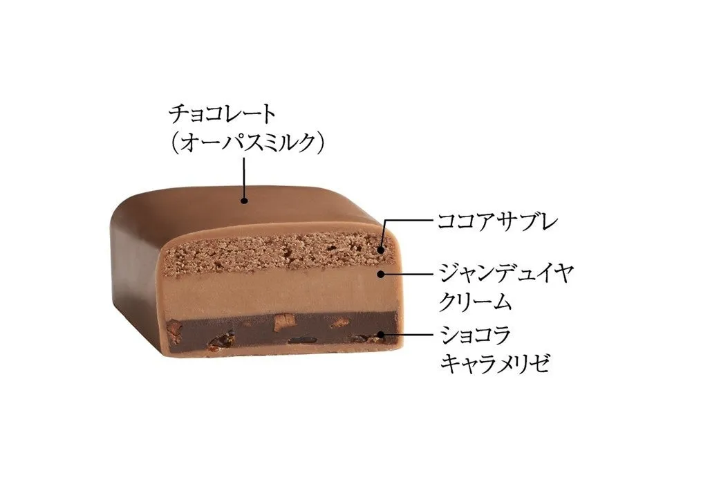 チョコレートケーキの断面図。上から、チョコレート、ココアサブレ、ジャンデュイヤクリーム、ショコラ、キャラメリゼの層になっている。