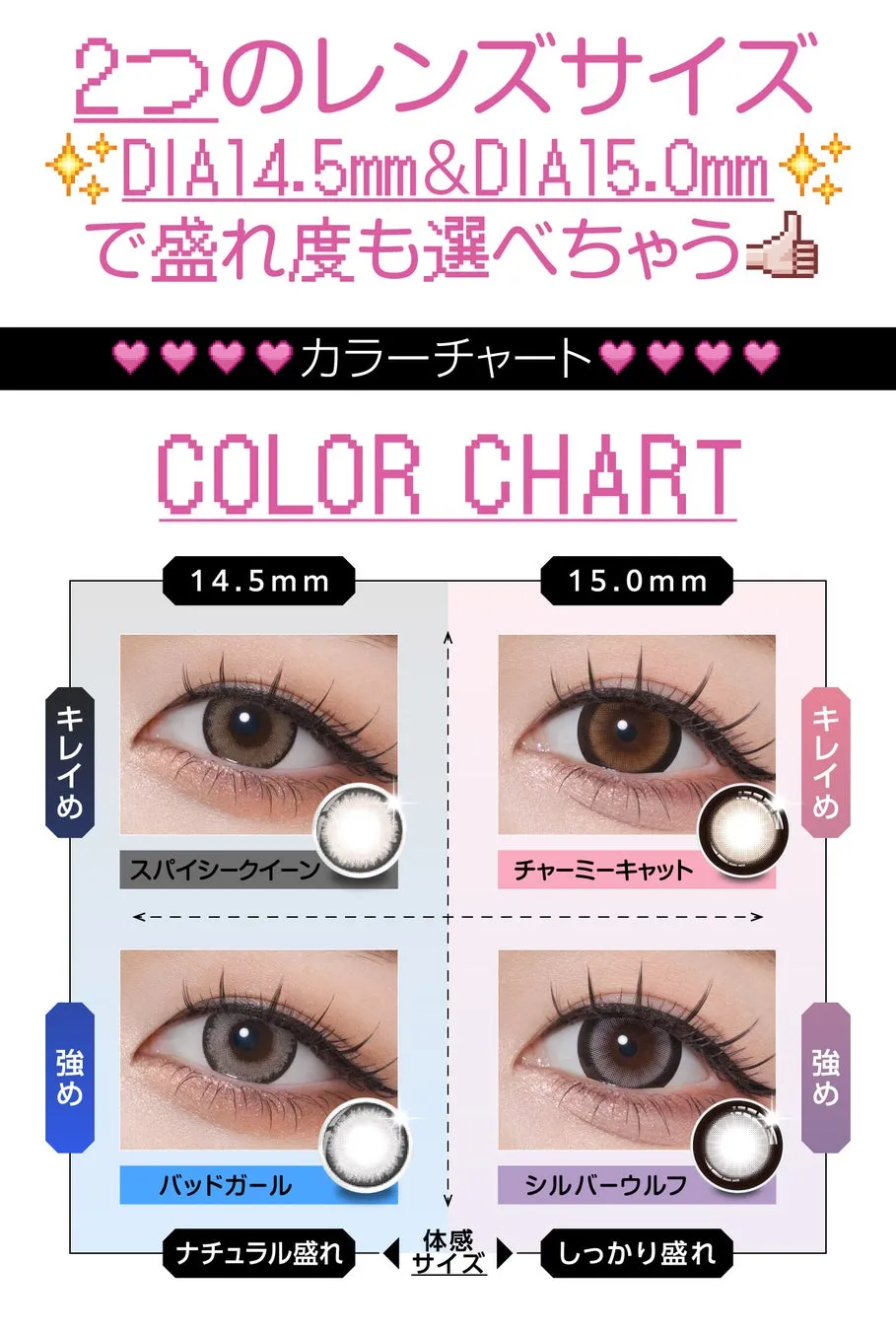 カラーチャート DIA14.5mm&DIA15.0mm