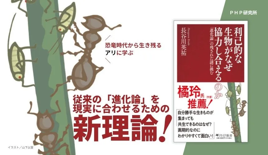 書籍の表紙画像