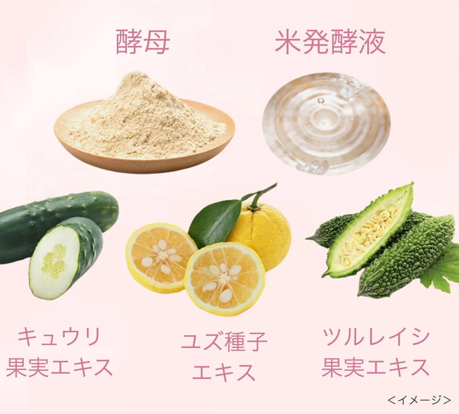 酵母、米発酵液、キュウリ、ユズ、ツルレイシの実の画像