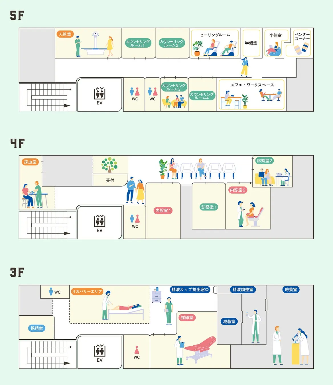 医療施設のフロアマップ。5階にはX線室、カウンセリングルーム、ヒーリングルーム、半個室、ベンダーコーナー、カフェ・ワークスペースなどがある。4階には採血室、受付、診察室、内診室がある。3階には採精室、リカバリーエリア、精液カップ提出窓口、精液調整室、培養室などがある。