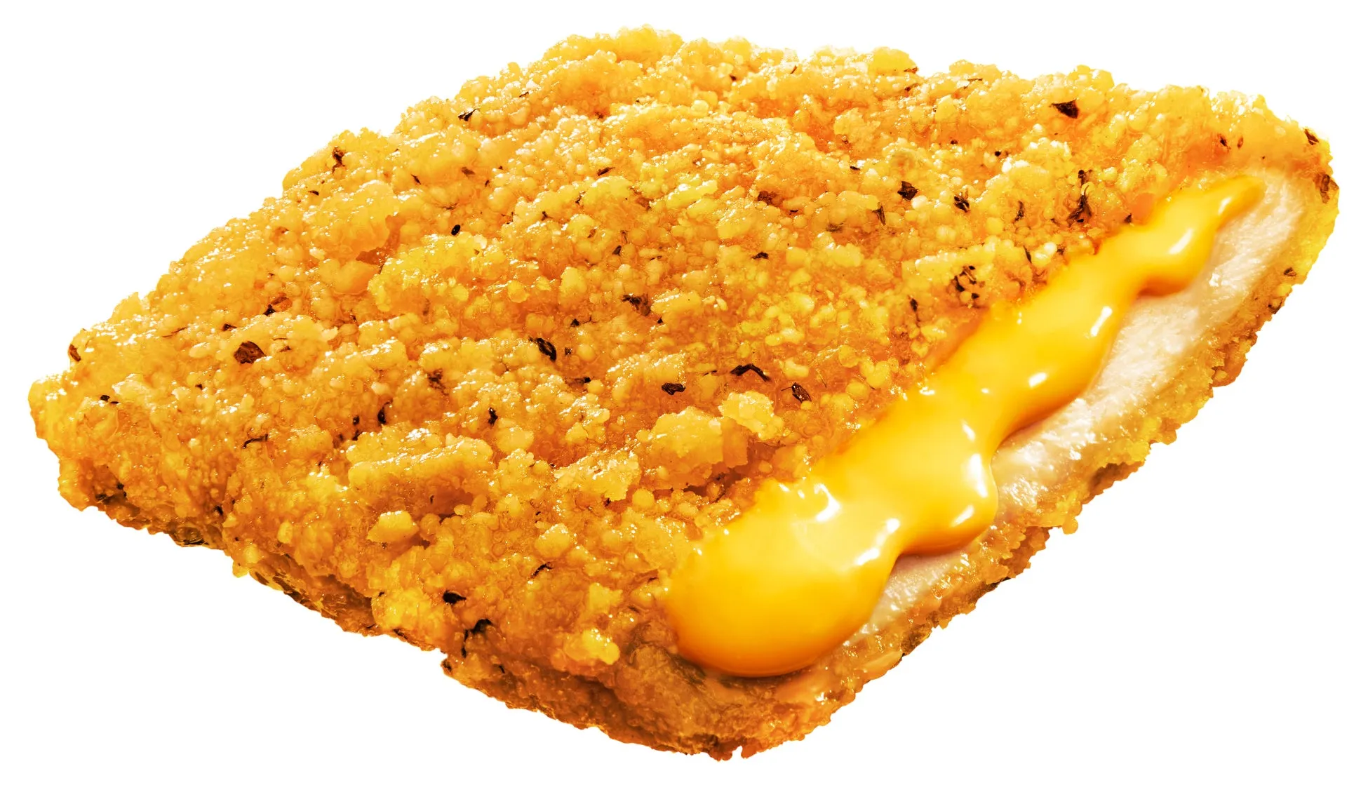 チーズが乗った揚げ物