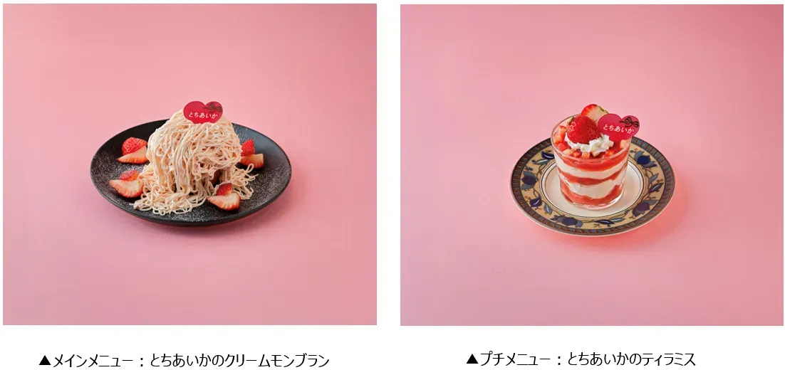 とちあいかのクリームモンブラン＆ティラミス