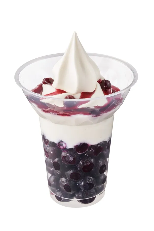 大粒のブルーベリー