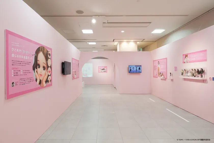 専門家による分析展示