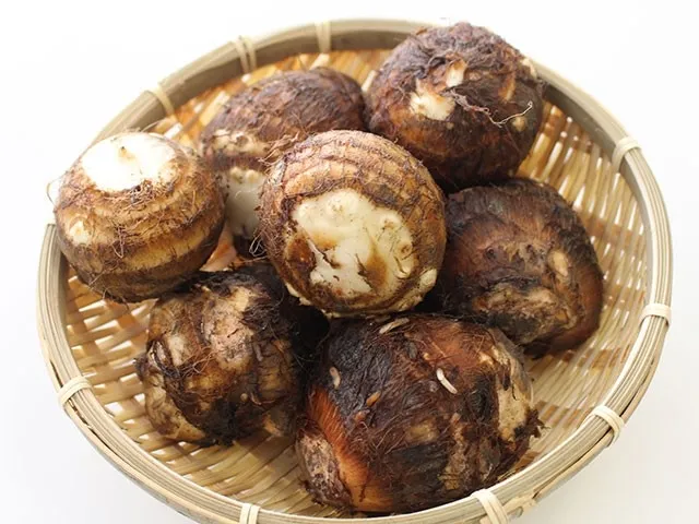 愛媛県産の里芋「伊予美人」