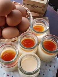 カスタードプリン