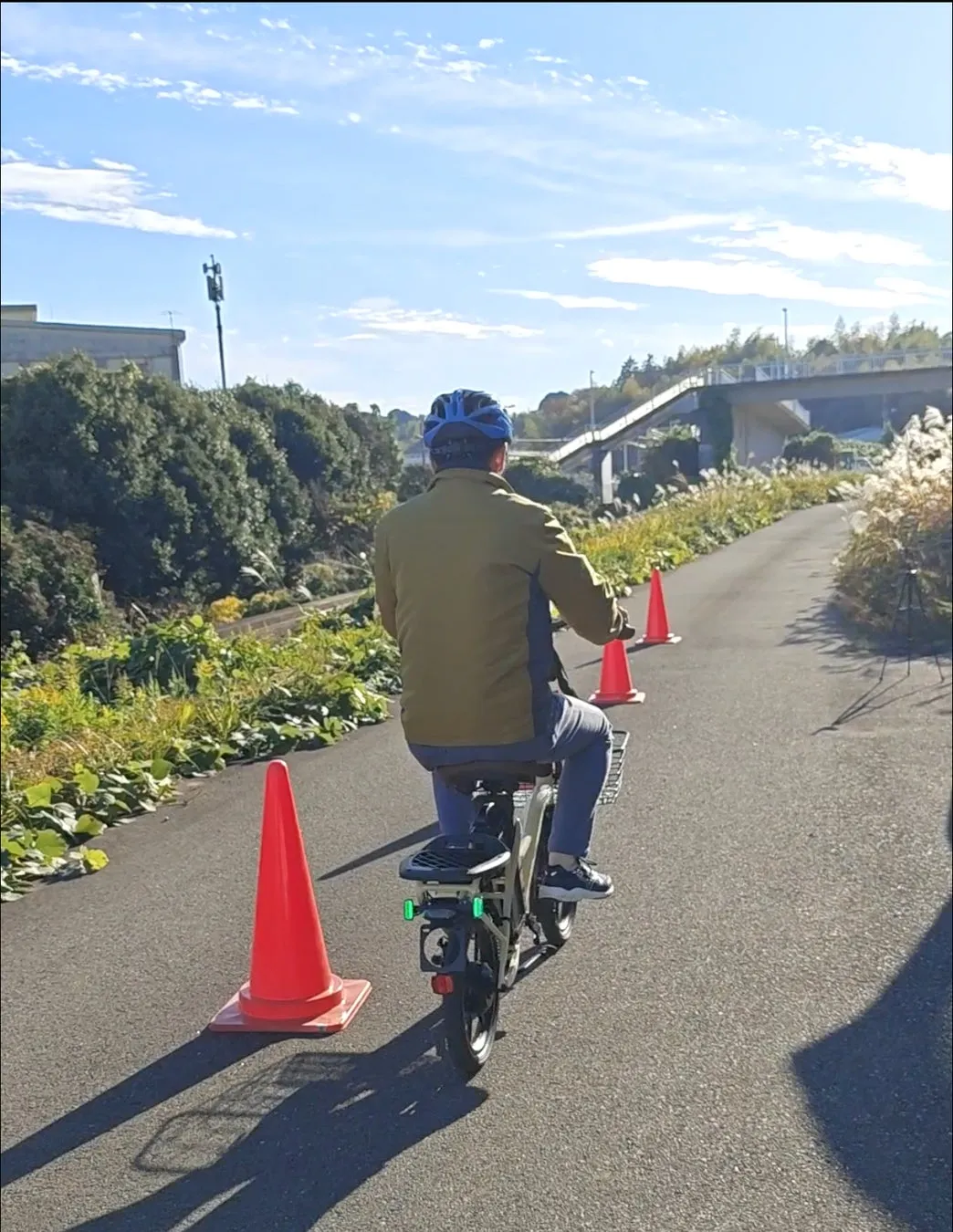 自転車に乗る男性の後ろ姿